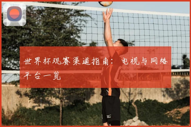 世界杯观赛渠道指南：电视与网络平台一览