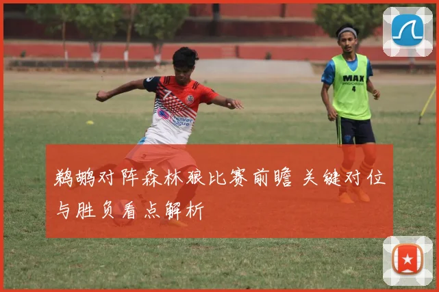 鹈鹕对阵森林狼比赛前瞻 关键对位与胜负看点解析