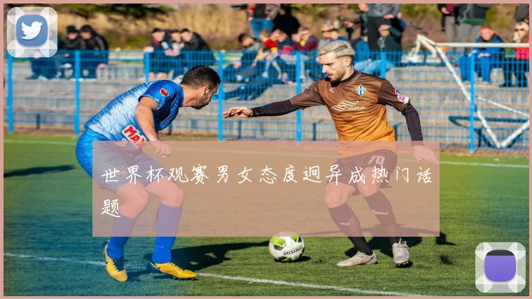 世界杯观赛男女态度迥异成热门话题