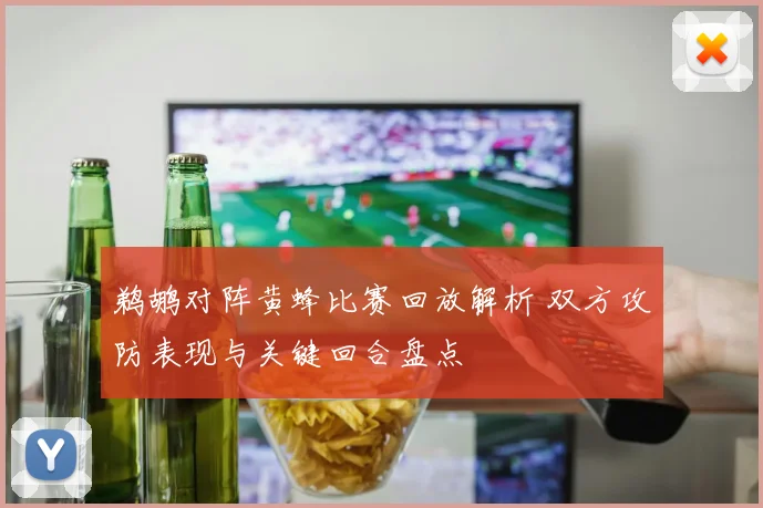 鹈鹕对阵黄蜂比赛回放解析 双方攻防表现与关键回合盘点