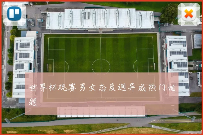世界杯观赛男女态度迥异成热门话题