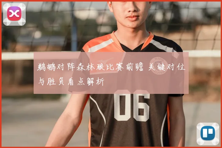 鹈鹕对阵森林狼比赛前瞻 关键对位与胜负看点解析