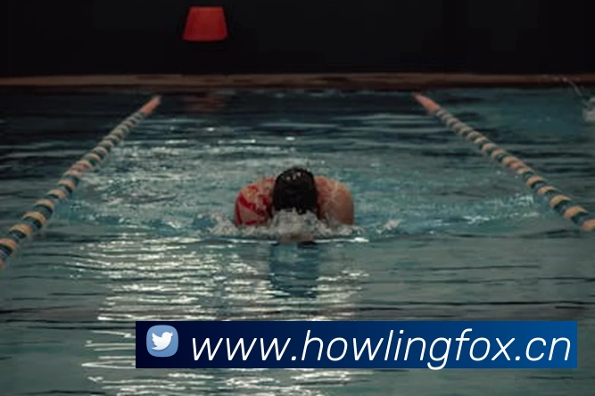 App Interface Preview